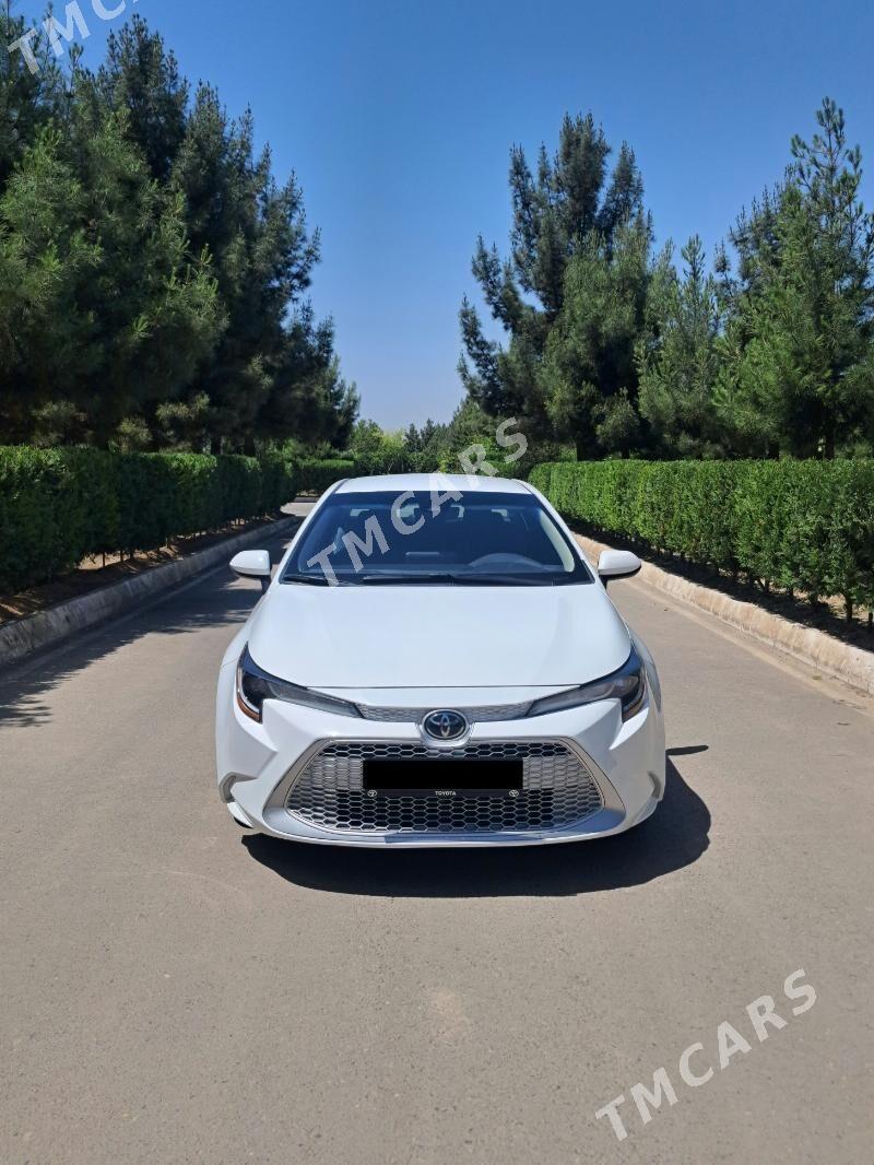 Toyota Corolla 2023 - 237 000 TMT - Büzmeýin GRES - img 8