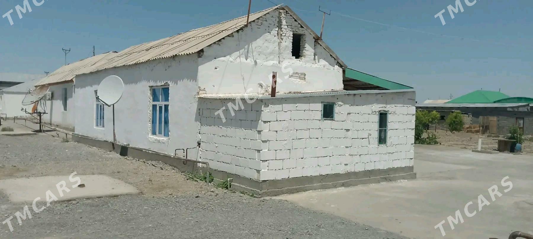 Gökdepe jay - Gökdepe - img 2