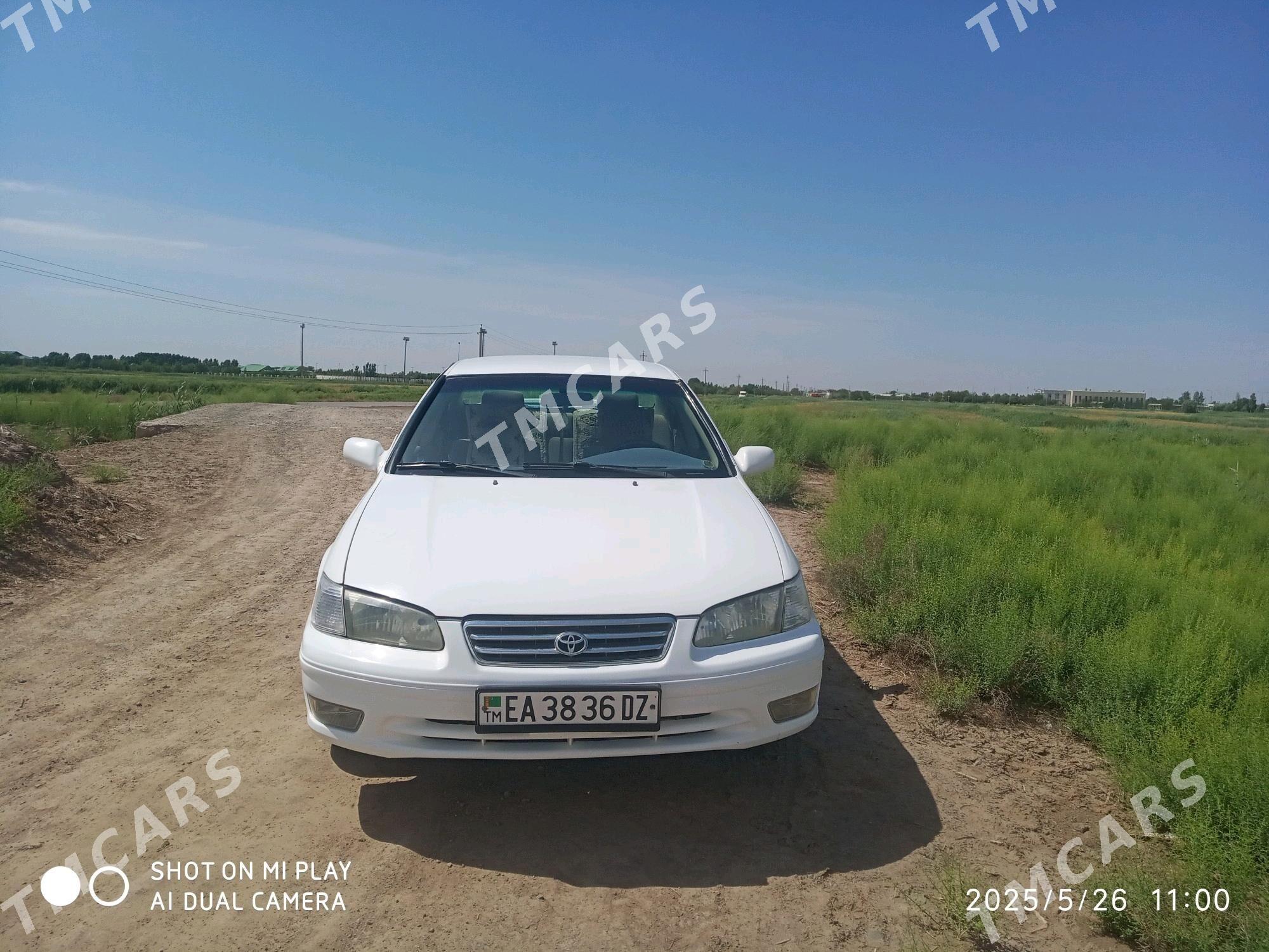 Toyota Camry 2001 - 115 000 TMT - Кёнеургенч - img 4