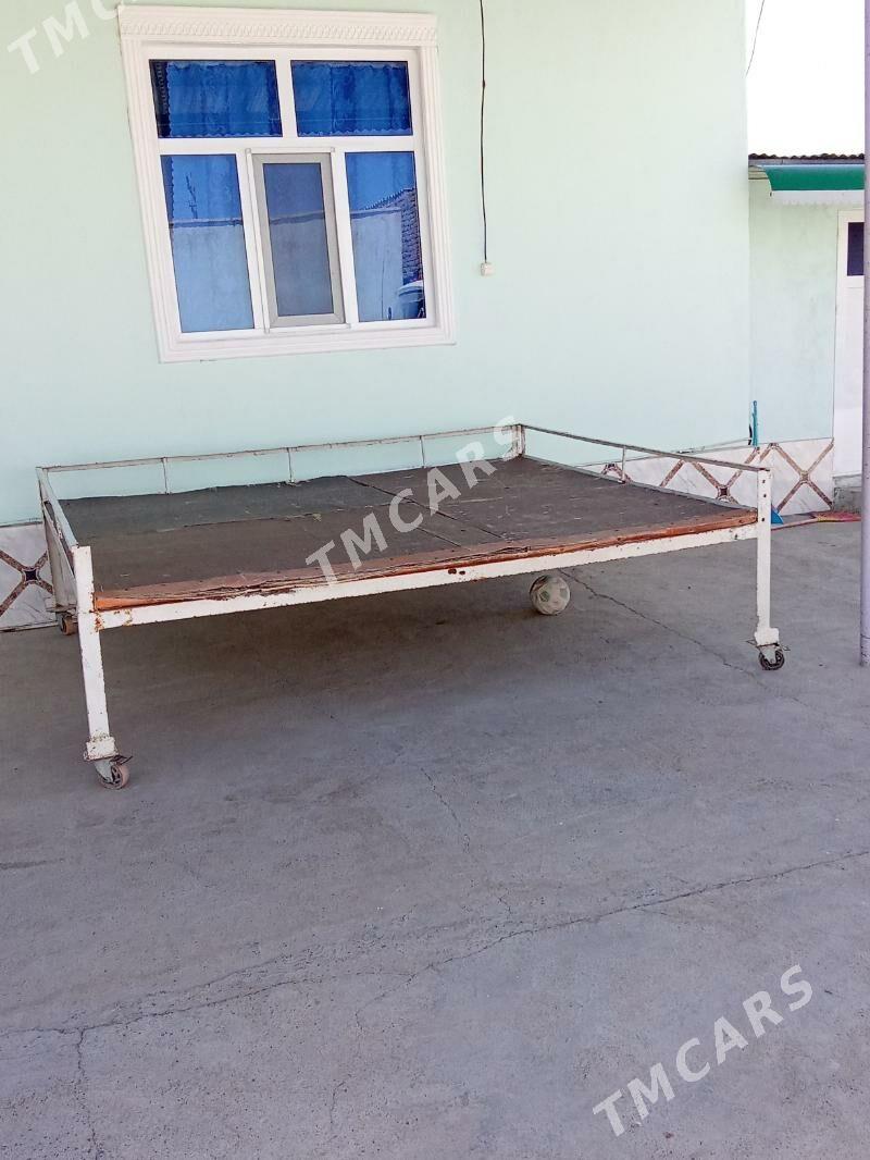 tapjan - Kaka - img 2