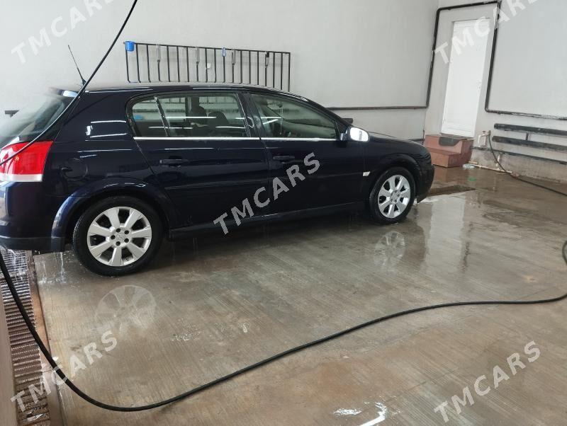 Opel Signum 2004 - 85 000 TMT - Daşoguz - img 3