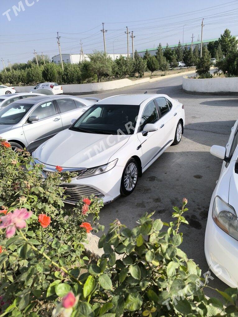 Toyota Camry 2019 - 260 000 TMT - Büzmeýin - img 3