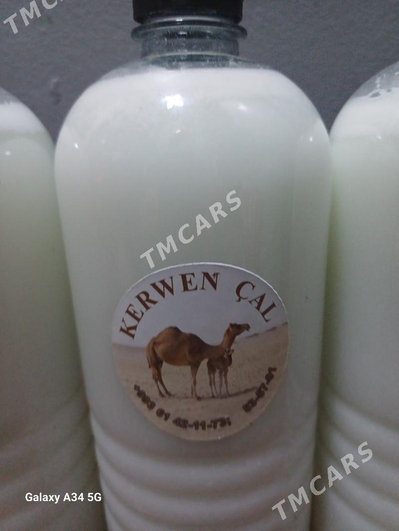 Kerwen çal - Aşgabat - img 3
