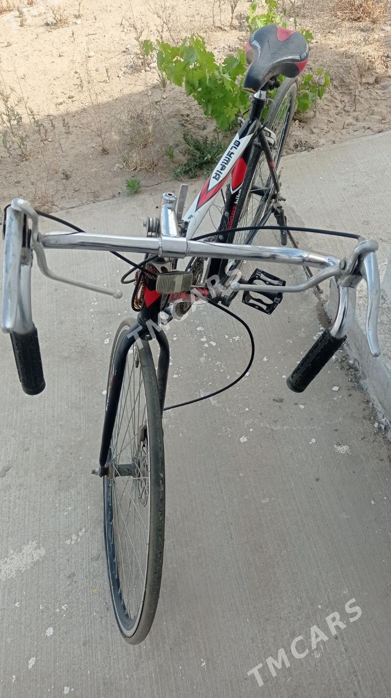 Spartivny tigir - Täze zaman - img 3