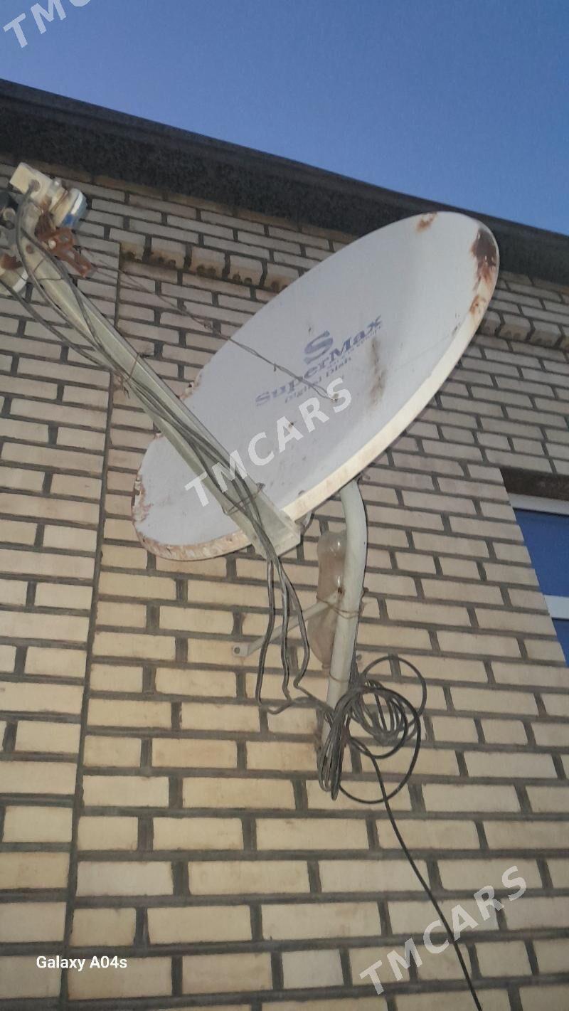 kıçı antena - Mary - img 2