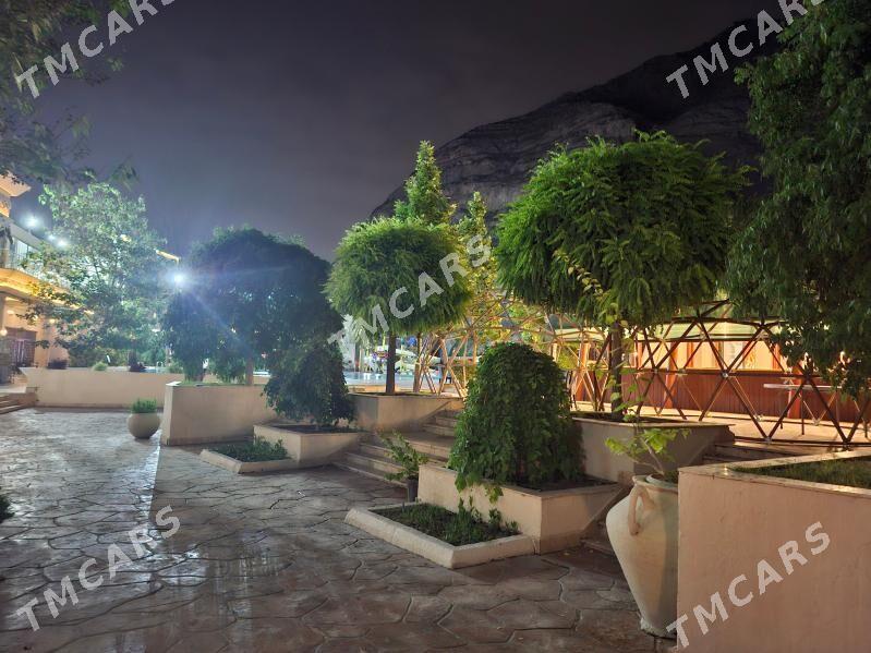 Isgar gerek - Aşgabat - img 2