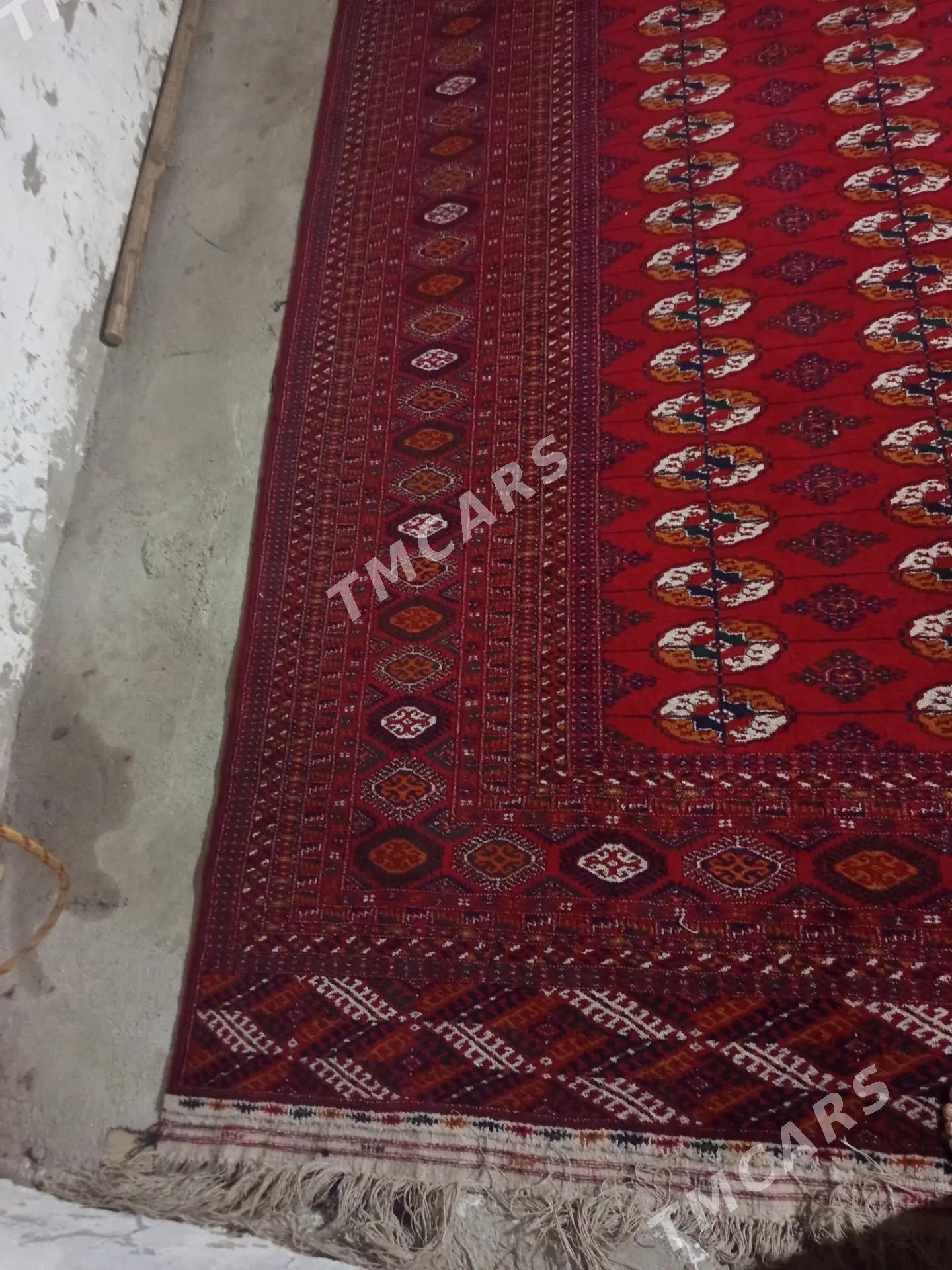 Turkmen haly - Bäherden - img 2