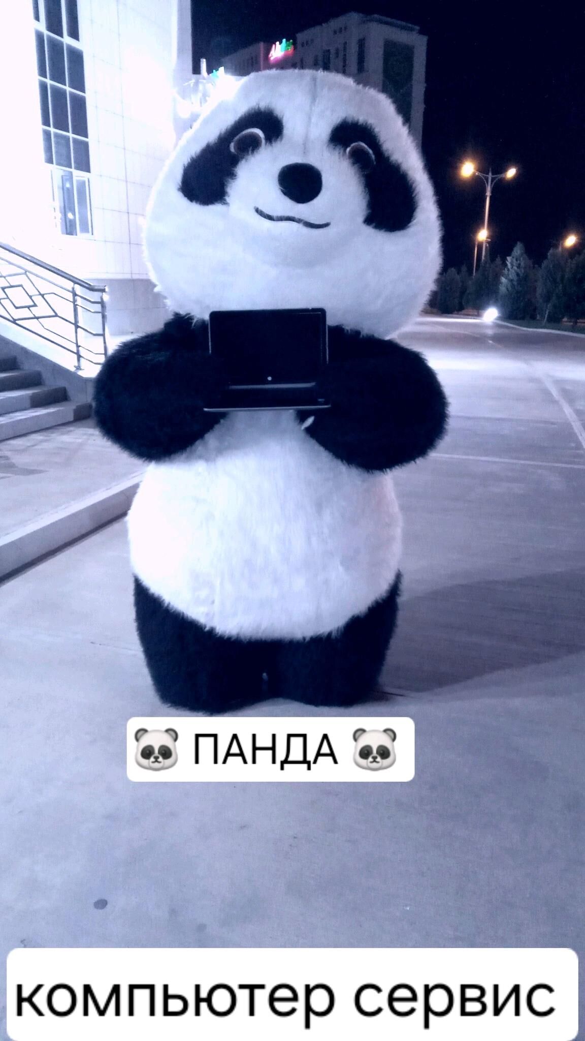  PANDA Kompýuter services - Гаудан "В" - img 2