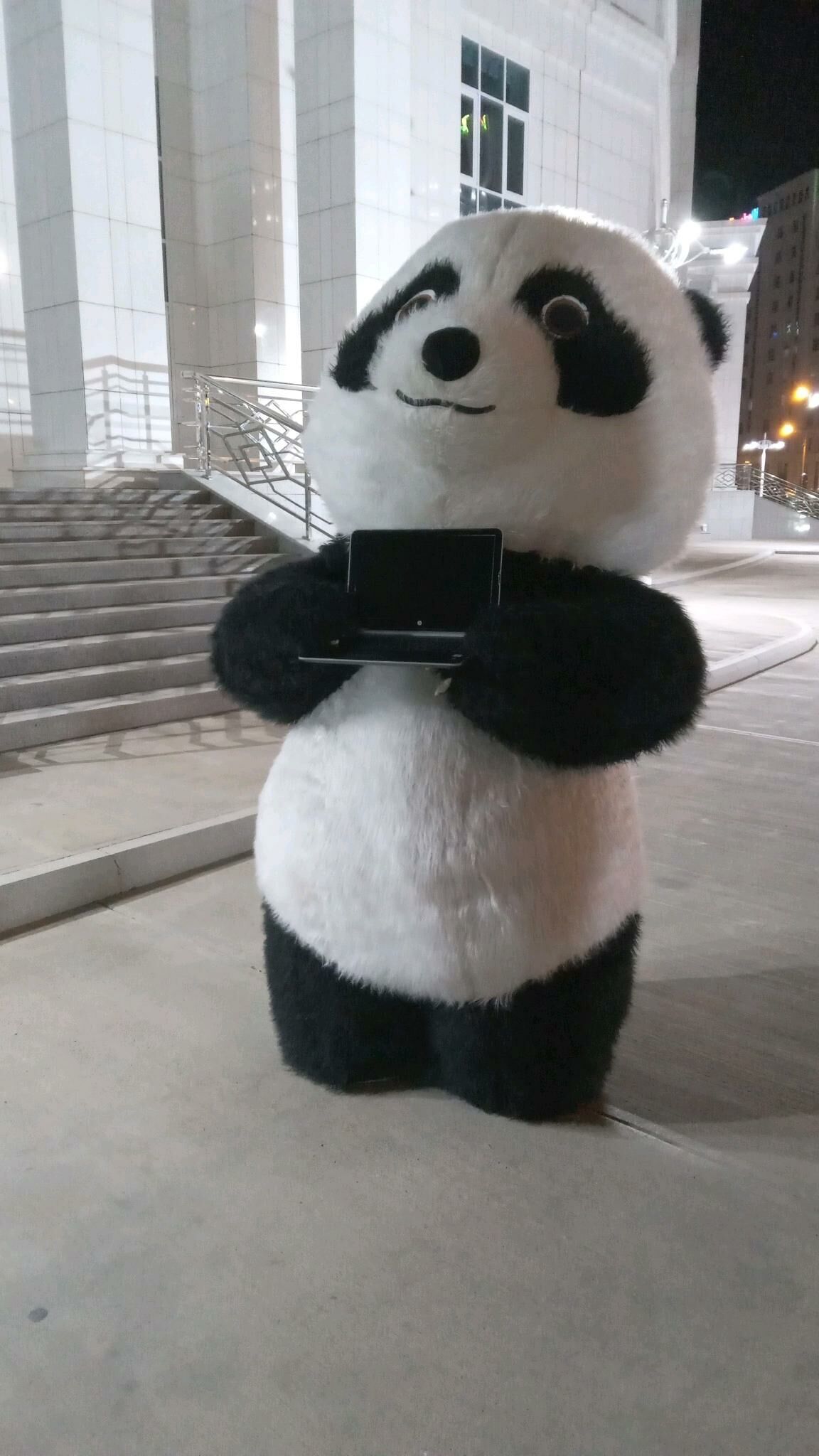  PANDA Kompýuter services - Гаудан "В" - img 4