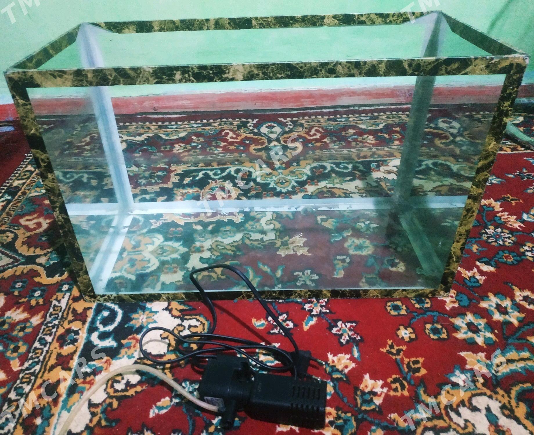 Akvarim - Туркменбаши - img 2
