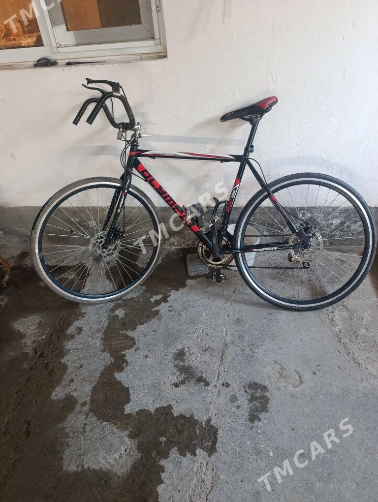 welik  spartiwny - Türkmenabat - img 2