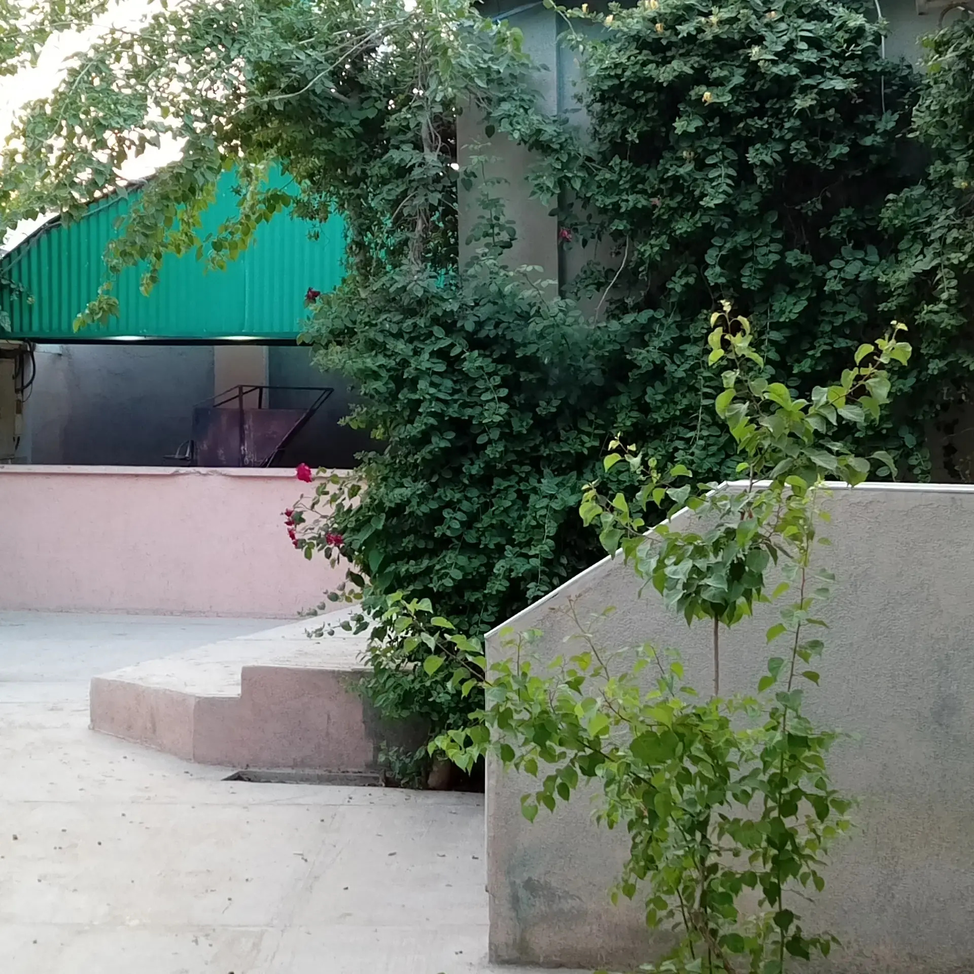 arenda gokdepe kafe - Гёкдепе - img 2