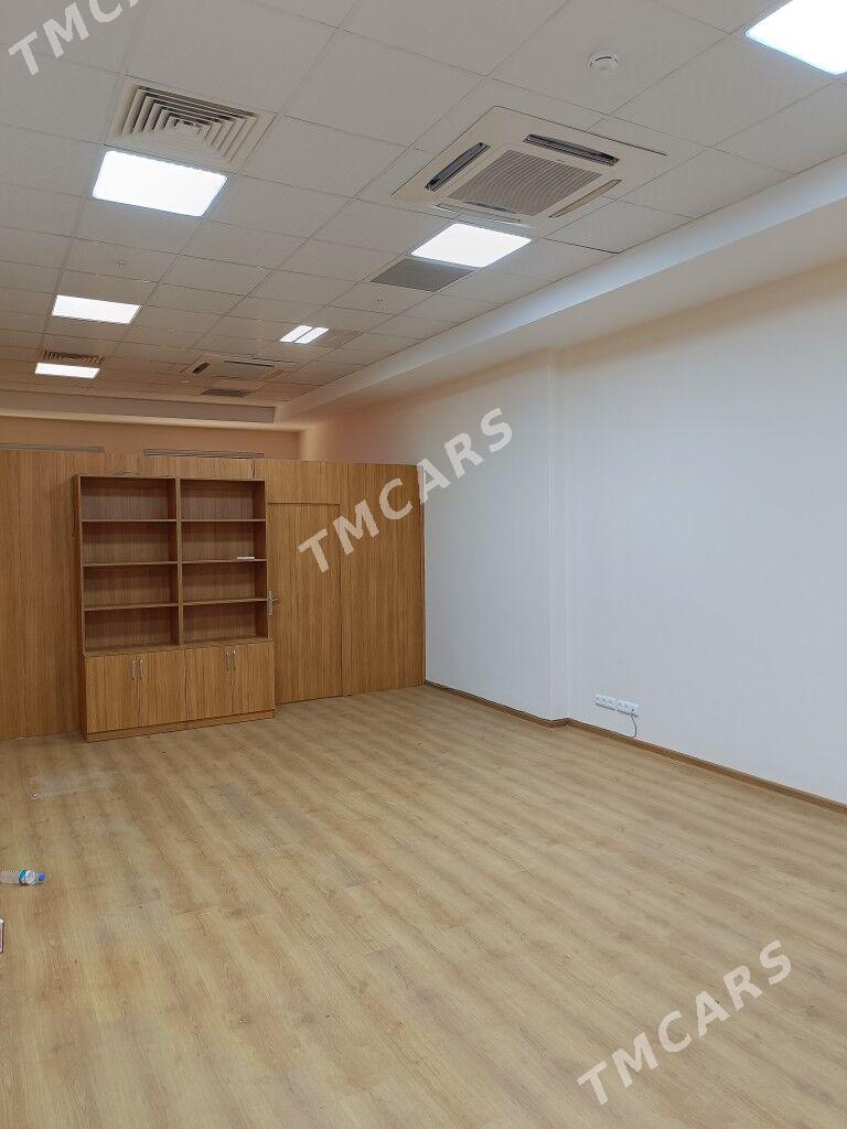 Ofis un Tayyn Arassa Pomişenya - Aşgabat - img 3