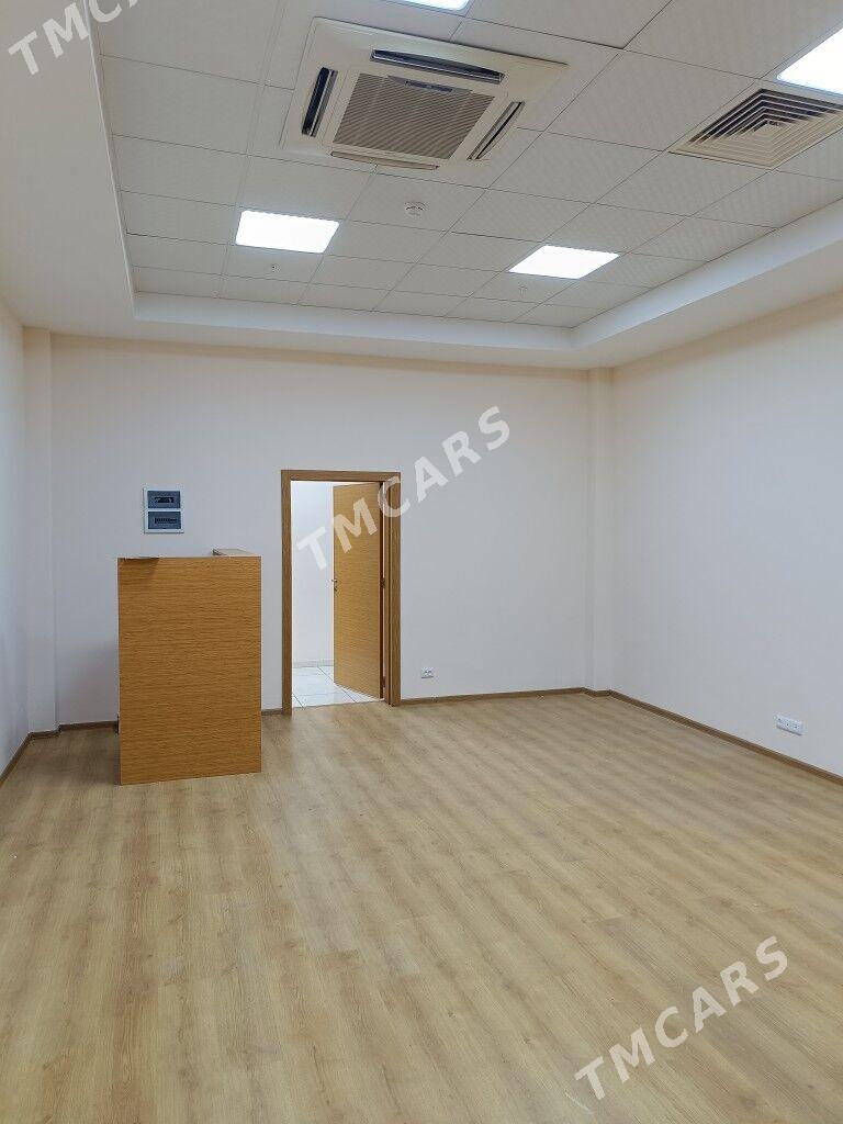 Ofis un Tayyn Arassa Pomişenya - Aşgabat - img 4