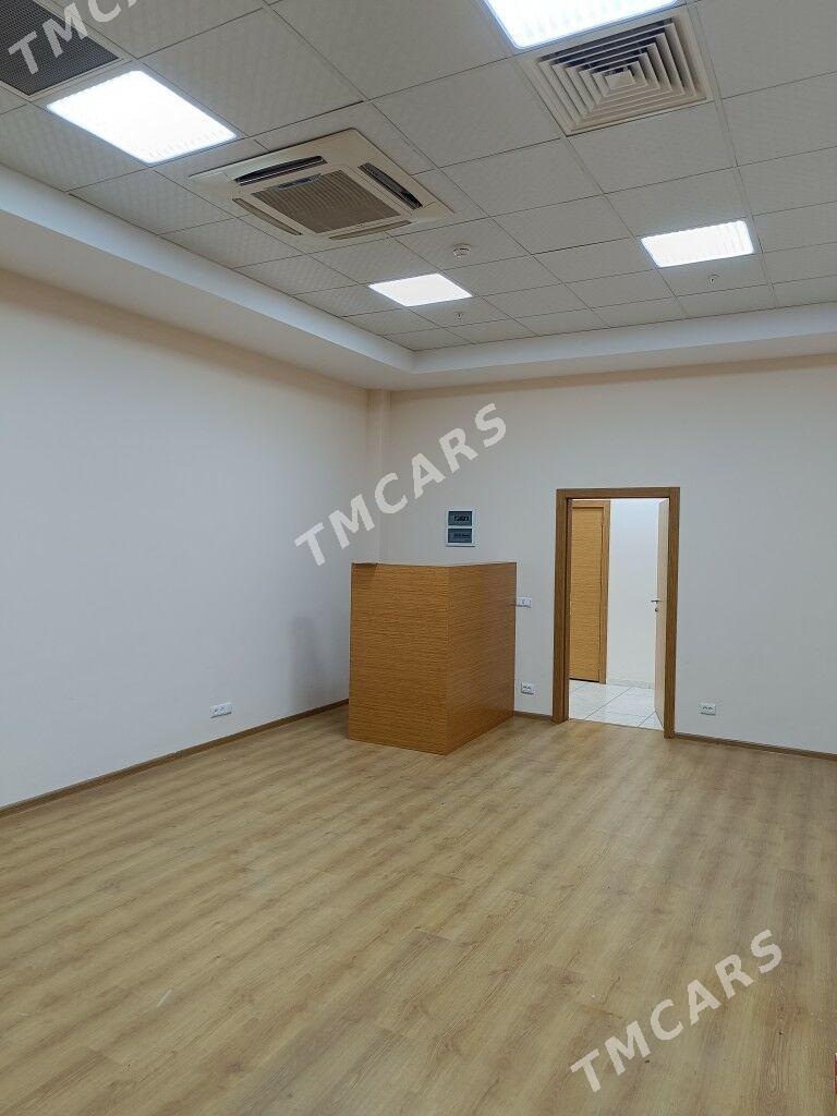Ofis un Tayyn Arassa Pomişenya - Aşgabat - img 7