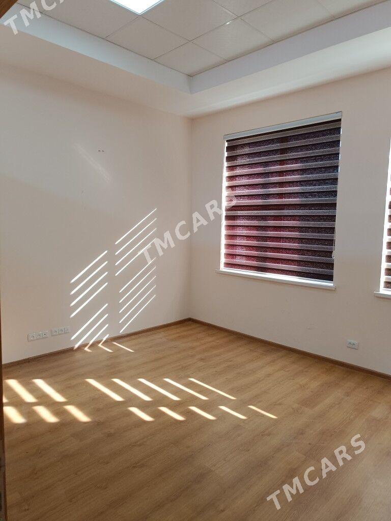 Ofis un Tayyn Arassa Pomişenya - Aşgabat - img 2