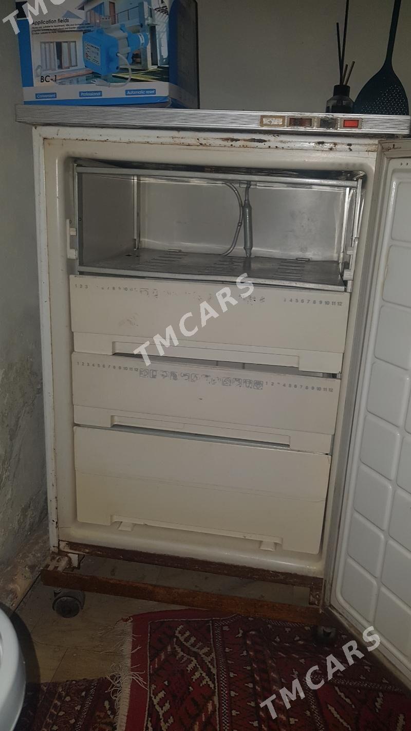 Haladilnik. Marazilnik - Çoganly - img 2