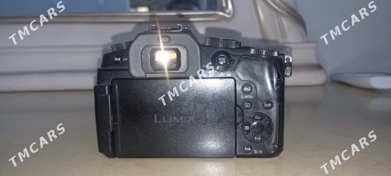 lumx - Kaka - img 3