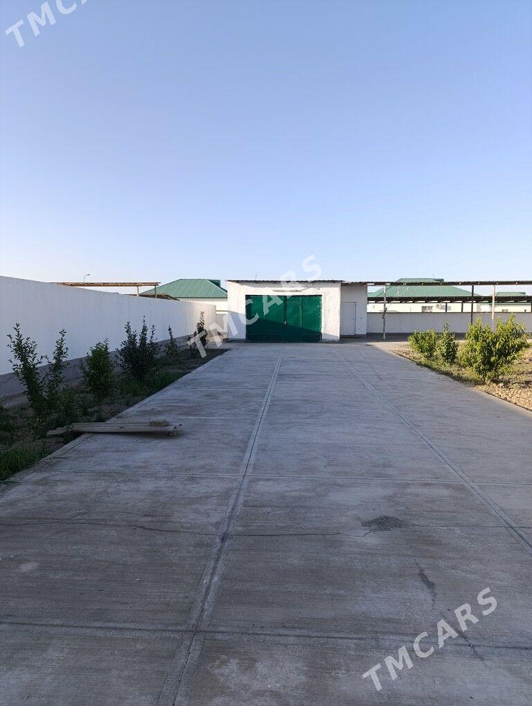 Arenda Gokdepe plan - Ашхабад - img 3
