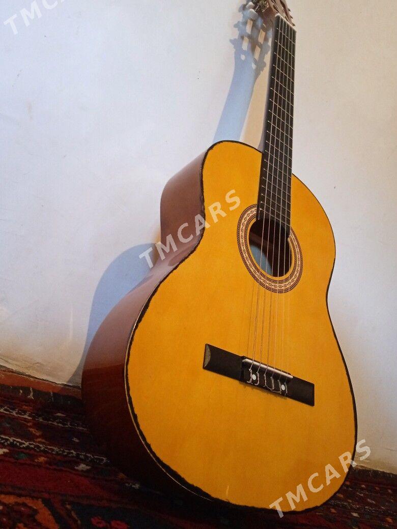 gitara - Halaç - img 2