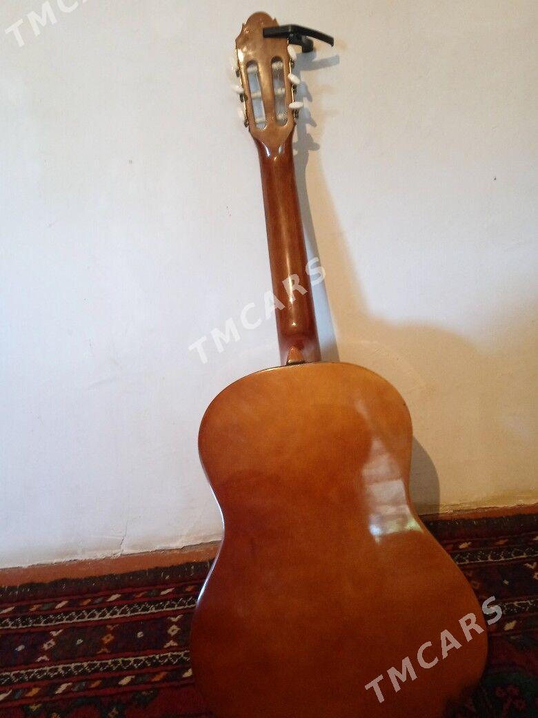 gitara - Halaç - img 1