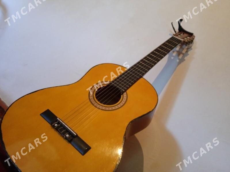 gitara - Halaç - img 3