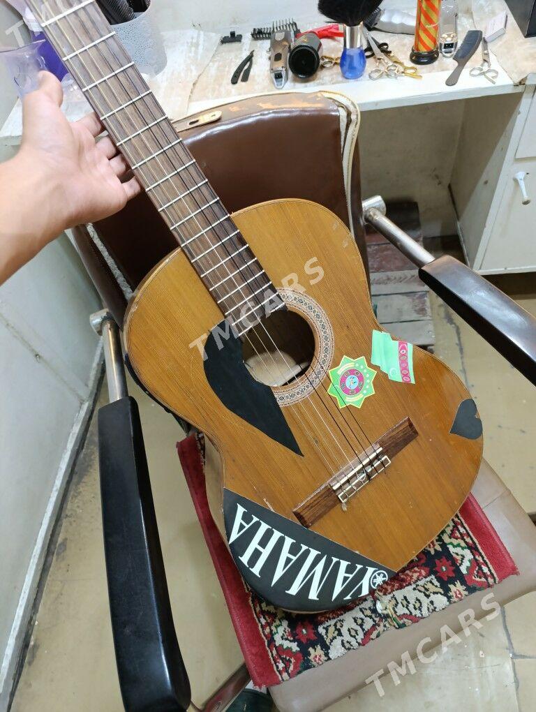 gitara - Sarahs - img 5