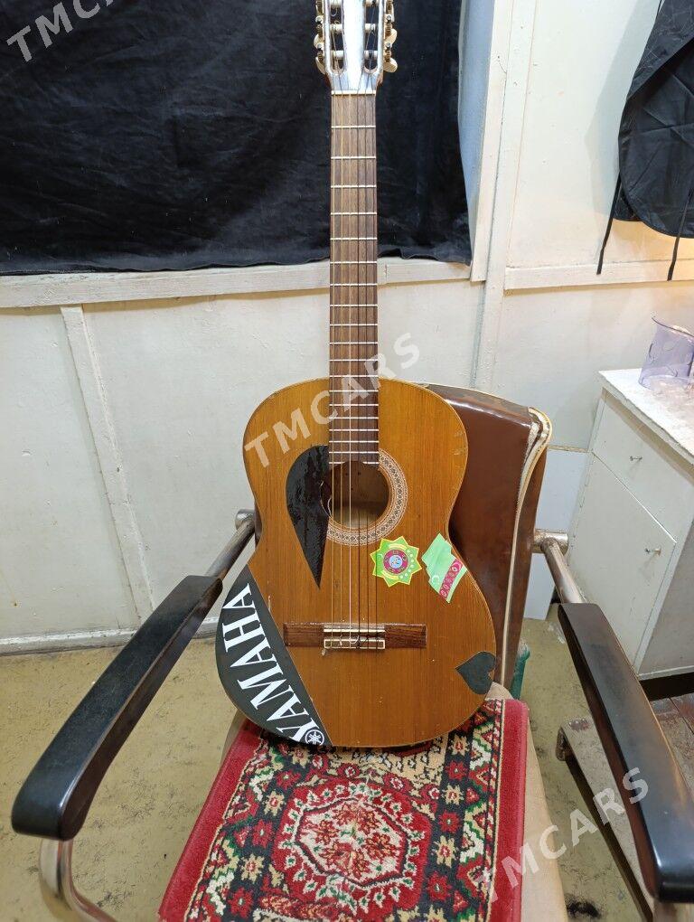 gitara - Sarahs - img 6