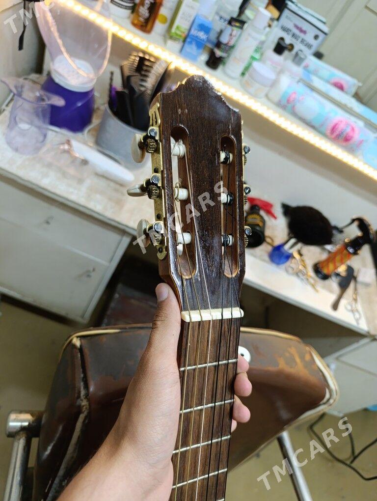 gitara - Sarahs - img 3