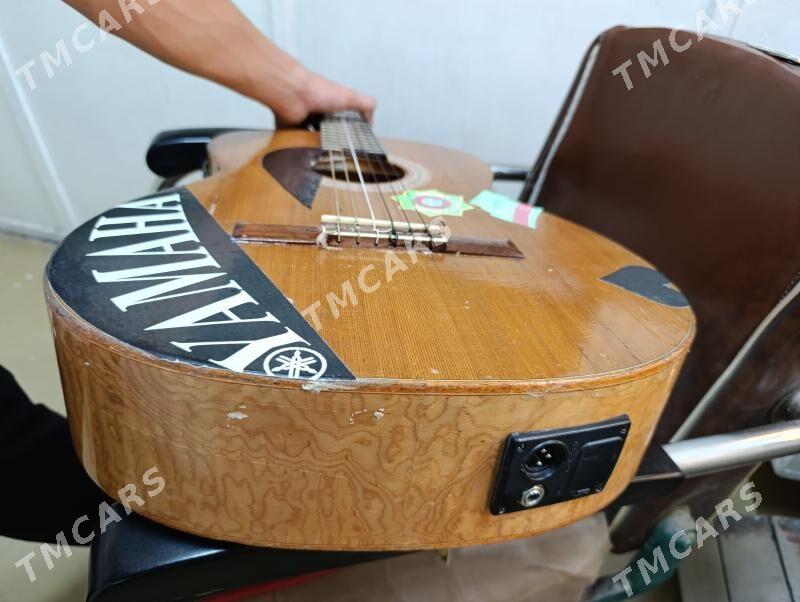 gitara - Sarahs - img 7
