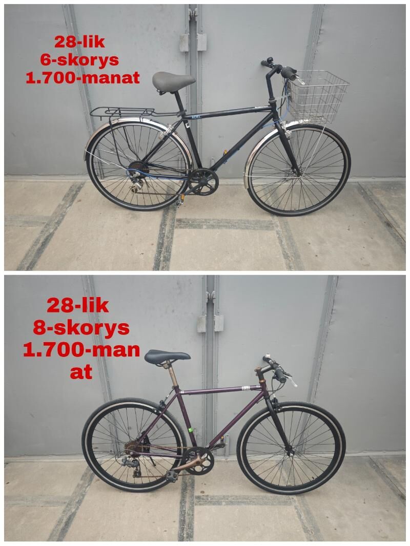 ÝAPON YAPON TIGIRLER - Ашхабад - img 6