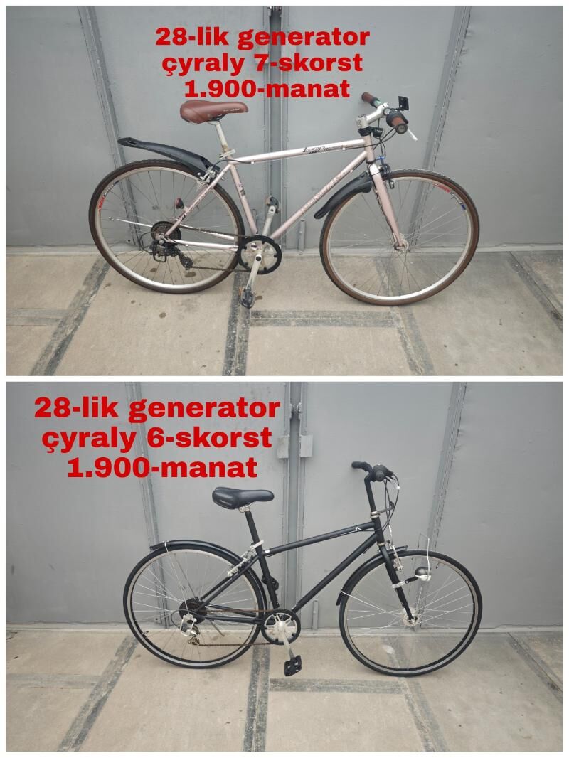 ÝAPON YAPON TIGIRLER - Ашхабад - img 5