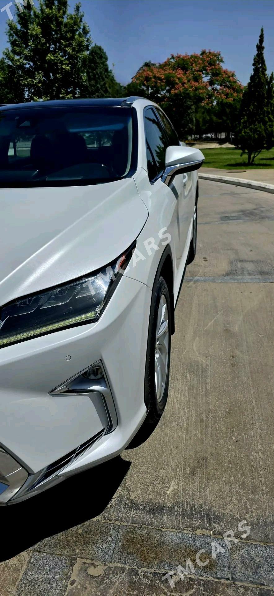 Lexus RX 350 2017 - 435 000 TMT - Ашхабад - img 5