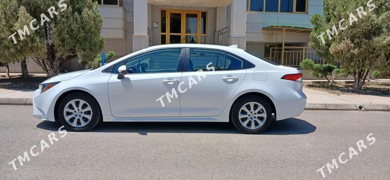 Toyota Corolla 2021 - 230 000 TMT - Mary - img 3