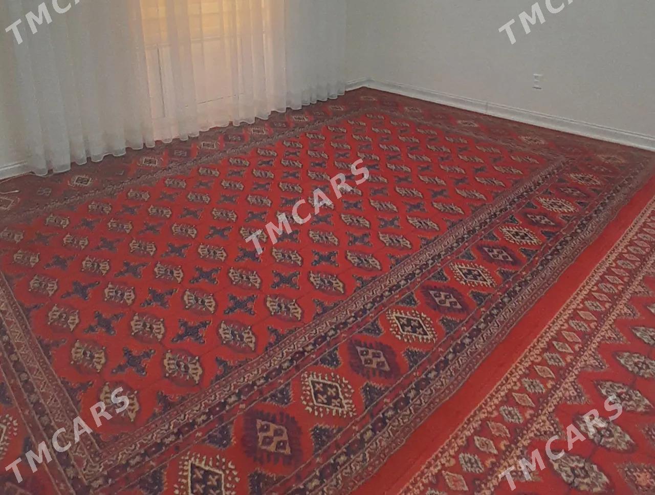 Haly 3*4-2*4 - Туркменбаши - img 2