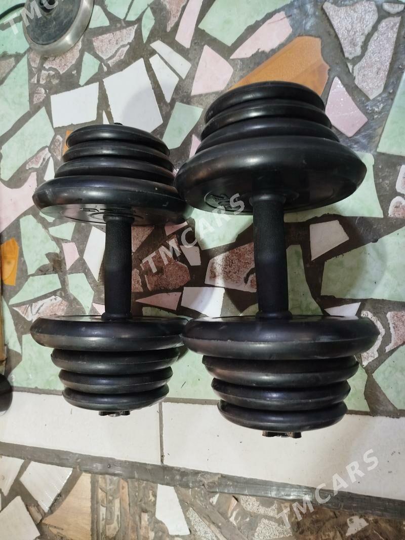 Gantel 10+10=20kg - Мары - img 2