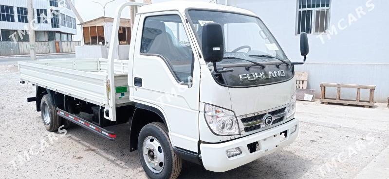Forland H2 2025 - 210 000 TMT - Mary - img 2