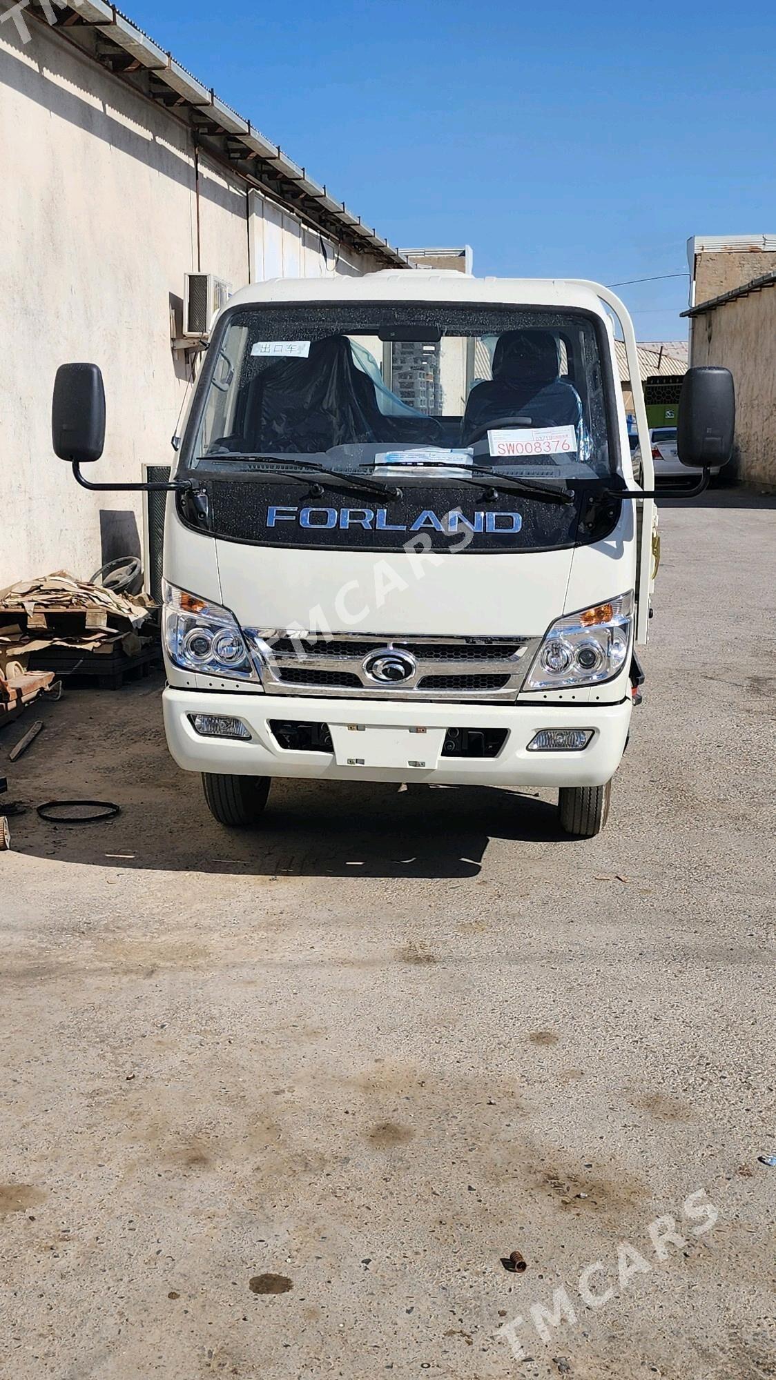 Forland H2 2025 - 209 000 TMT - Мары - img 2