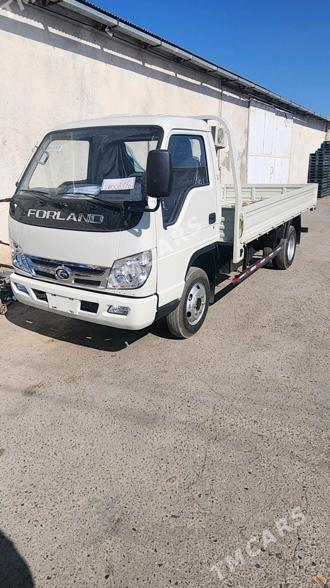 Forland H2 2025 - 209 000 TMT - Мары - img 3