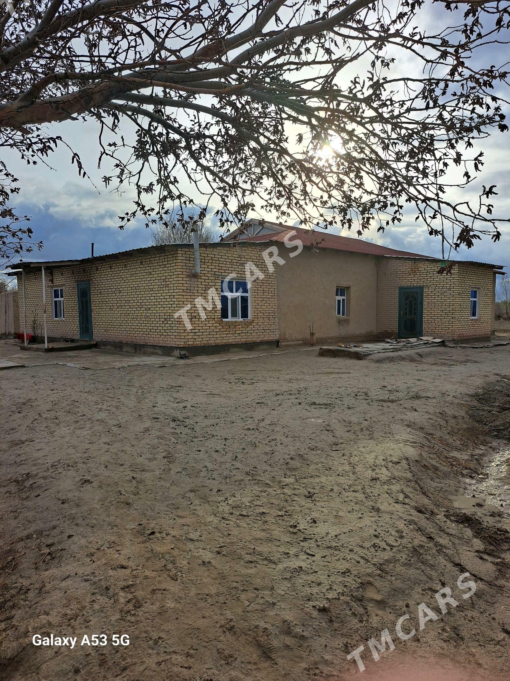 Jay Turkmenbasy etr - етр. Туркменбаши - img 3