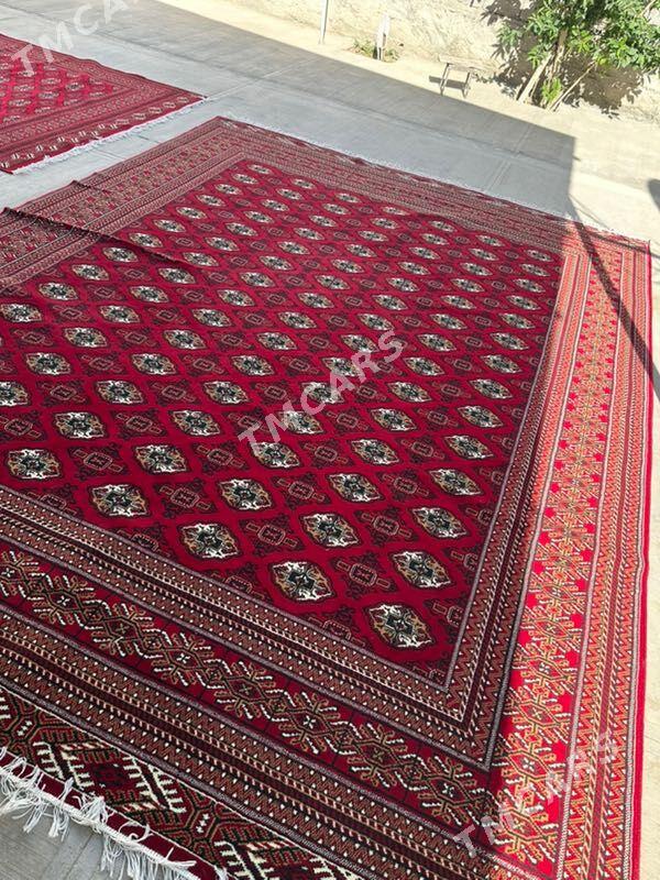 Eyran haly - Çoganly - img 3