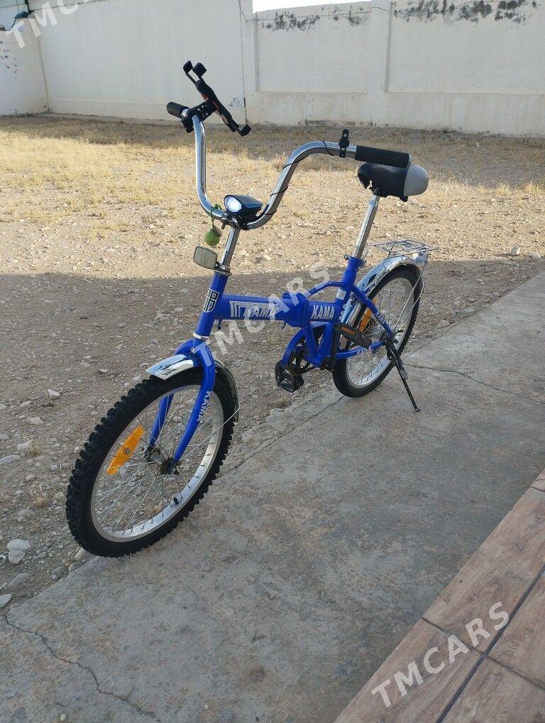 Kama tigir - Balkanabat - img 2