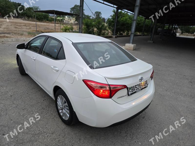 Toyota Corolla 2019 - 196 000 TMT - Ашхабад - img 3