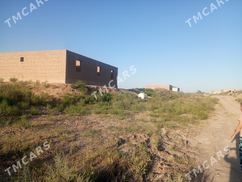 Bayramhan koçe jay - Şabat etr. - img 2
