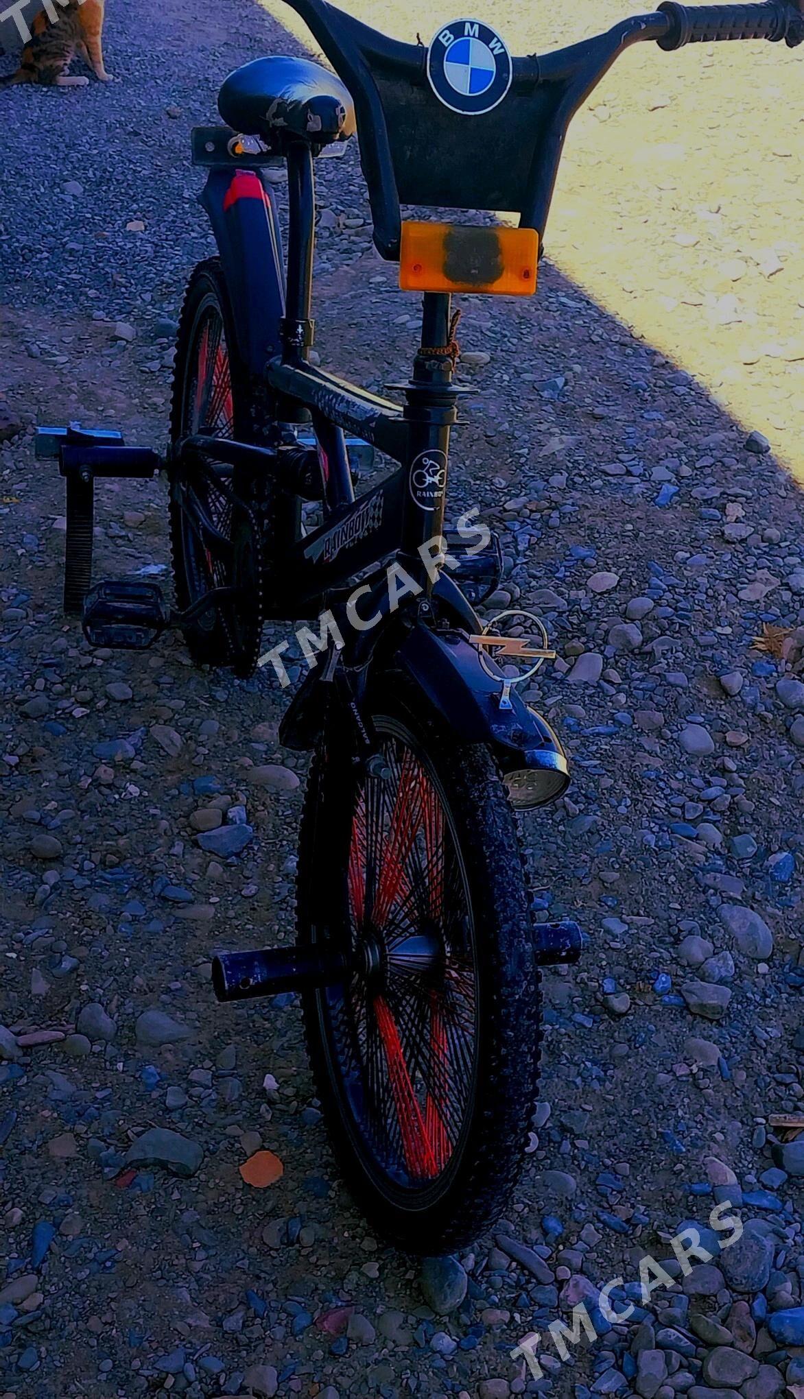 tigir - Bäherden - img 3
