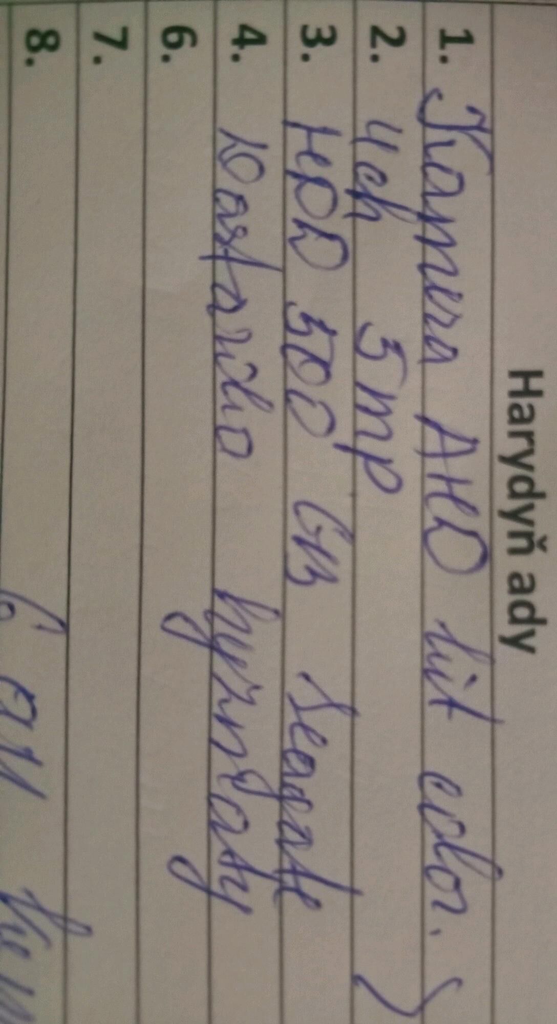 kamera gozegcilik - Mary - img 3