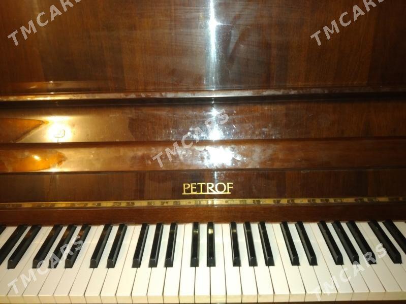 Пионино Petrof - Теджен - img 2