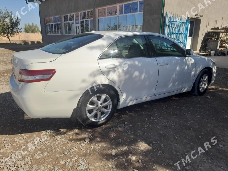 Toyota Camry 2010 - 190 000 TMT - Halaç - img 2