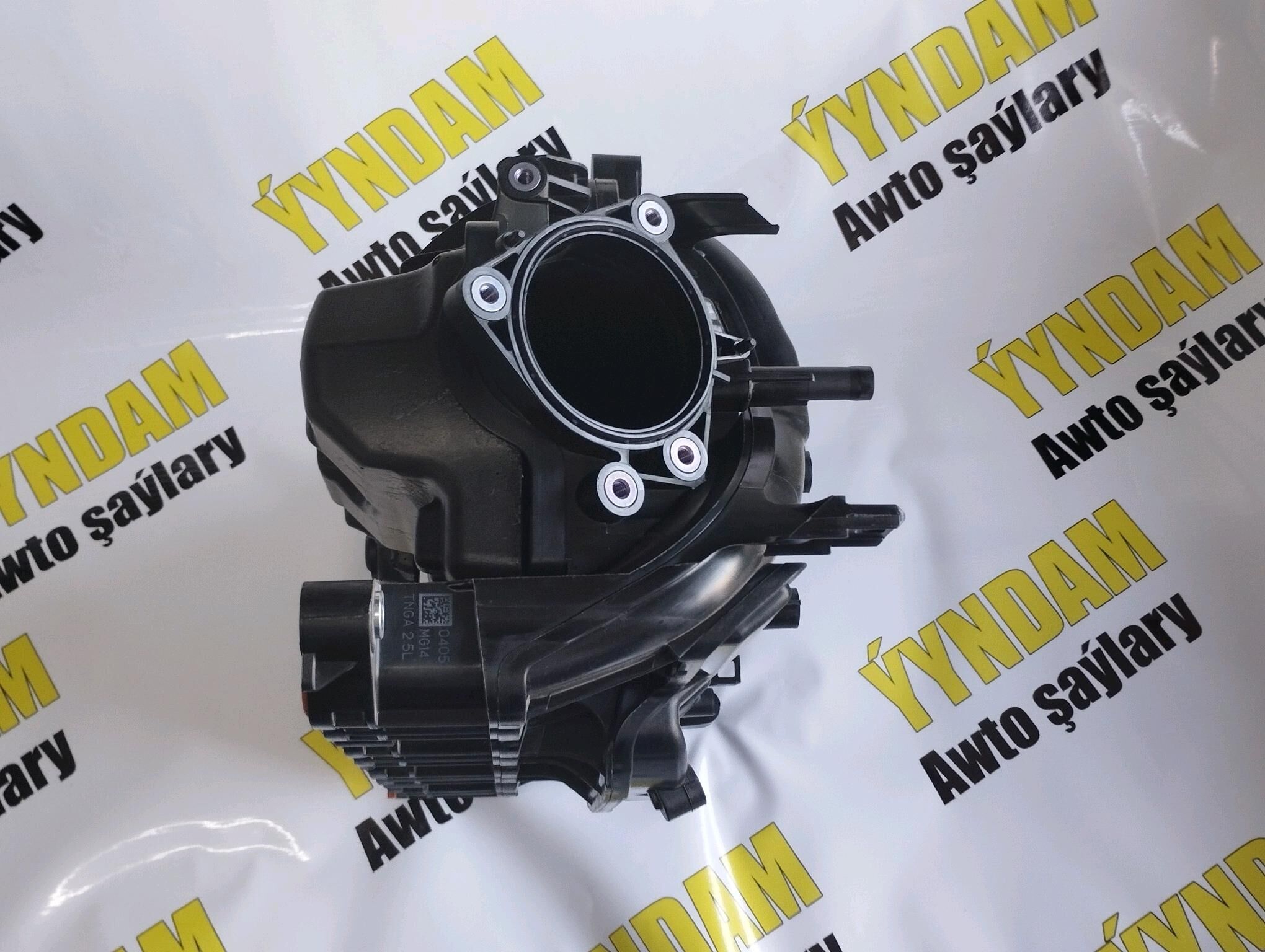Motor Pauk Sienna 2021 1 TMT - Mary - img 3