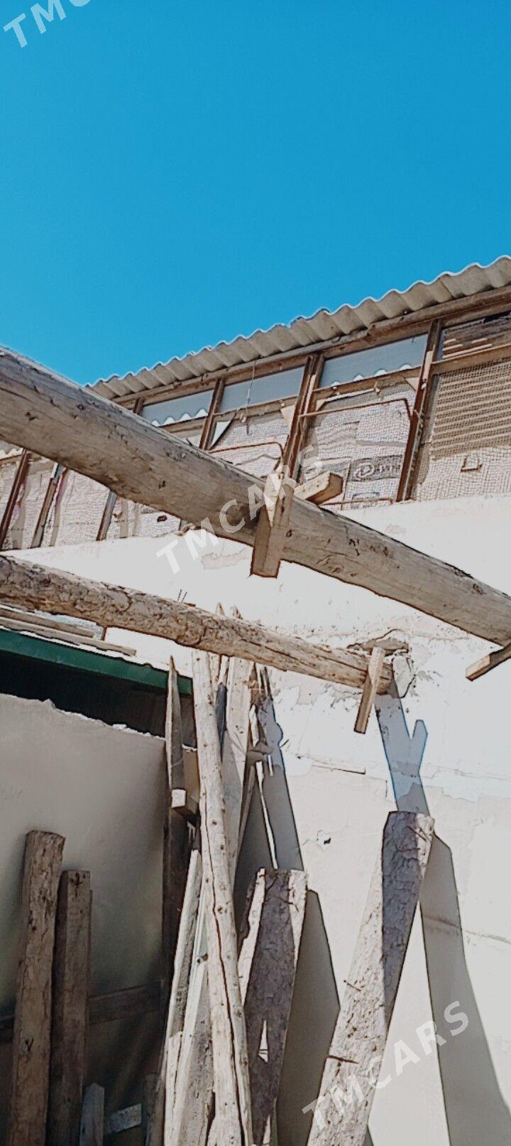 Ağaç - Дашогуз - img 3